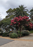 Petersham Park