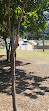 Blues Point Reserve Playground