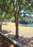 Blues Point Reserve Playground