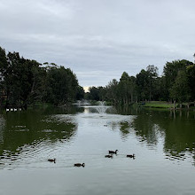 Sir Joseph Banks Park