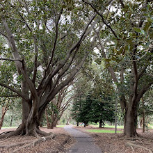 Sir Joseph Banks Park