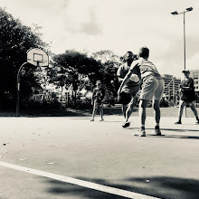 Prince Alfred Park Basketball Courts