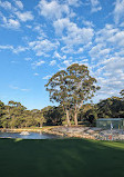 Cammeray Golf Club