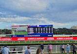 Royal Randwick Racecourse