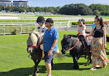 Royal Randwick Racecourse