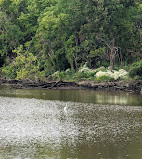 Kingman And Heritage Islands Park