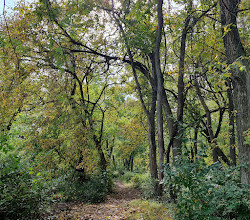 Kingman And Heritage Islands Park