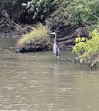 Kingman And Heritage Islands Park