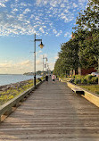 Sydney Waterfront Boardwalk