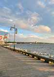 Sydney Waterfront Boardwalk