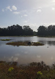 Bicentennial Park