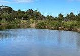 Sydney Park