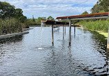 Sydney Park