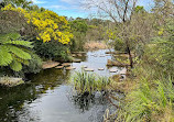 Sydney Park