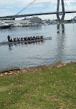 Blackwattle Bay Park