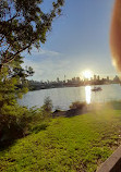 Blackwattle Bay Park