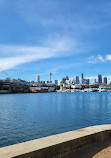 Blackwattle Bay Park