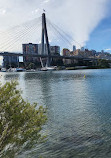 Blackwattle Bay Park