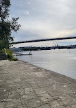 Blackwattle Bay Park