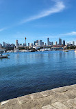 Blackwattle Bay Park