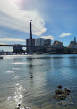 Blackwattle Bay Park