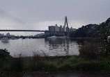 Blackwattle Bay Park