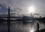 Blackwattle Bay Park