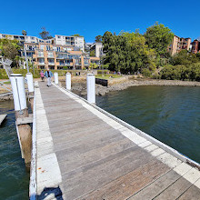 Blackwattle Bay Park