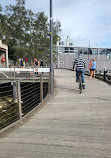 Blackwattle Bay Park