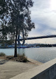 Blackwattle Bay Park