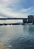 Blackwattle Bay Park