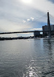 Blackwattle Bay Park