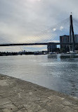 Blackwattle Bay Park