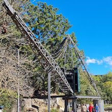 Blackwattle Bay Park