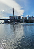 Blackwattle Bay Park