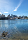 Blackwattle Bay Park