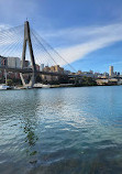 Blackwattle Bay Park