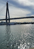 Blackwattle Bay Park