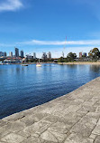 Blackwattle Bay Park