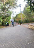 Blackwattle Bay Park