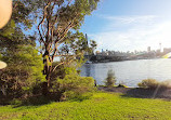 Blackwattle Bay Park