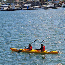 Blackwattle Bay Park