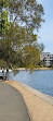 Blackwattle Bay Park