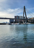 Blackwattle Bay Park