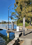 Blackwattle Bay Park