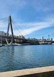 Blackwattle Bay Park