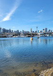 Blackwattle Bay Park