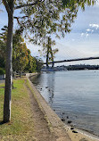 Blackwattle Bay Park