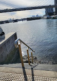 Blackwattle Bay Park