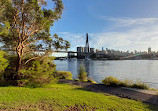 Blackwattle Bay Park